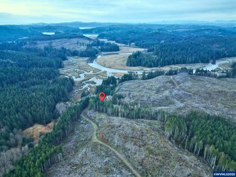 0 Wright Creek Rd Toledo OR 97366