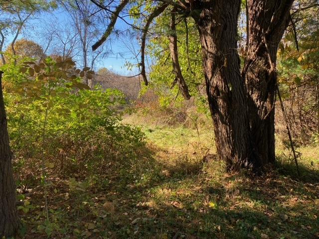 Glendon, Pennsylvania 18042, United States, ,Land,Active,75769