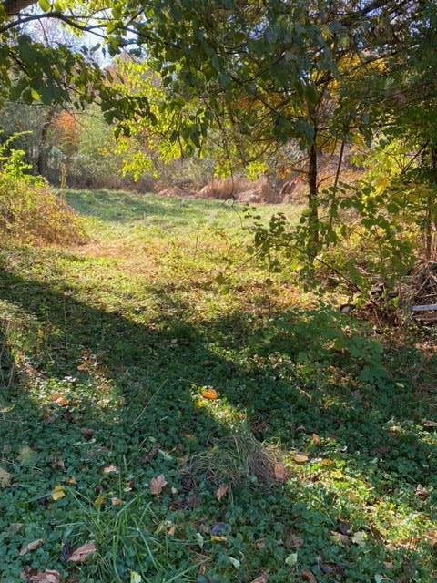 Glendon, Pennsylvania 18042, United States, ,Land,Active,75769