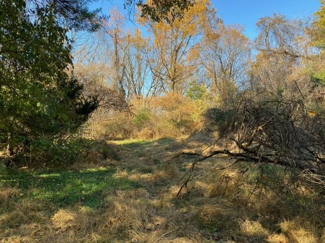 Glendon, Pennsylvania 18042, United States, ,Land,Active,75769