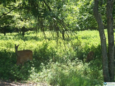 Photo of Kilmer Trail, Penn Forest Twp, PA 18210 (MLS # 757128) Photo of Kilmer Trail, Penn Forest Twp, PA 18210 (MLS # 757128)