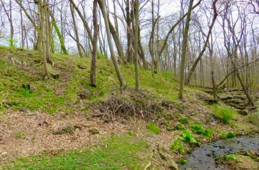 Upper Milford Twp, Pennsylvania 18049, United States, ,Land,Active,104064