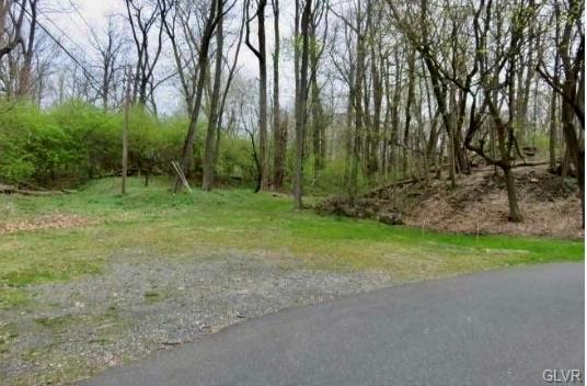 Upper Milford Twp, Pennsylvania 18049, United States, ,Land,Active,104064