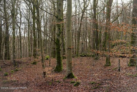 Navaho Path, Wayne, PA 18424 - MLS#: 749577