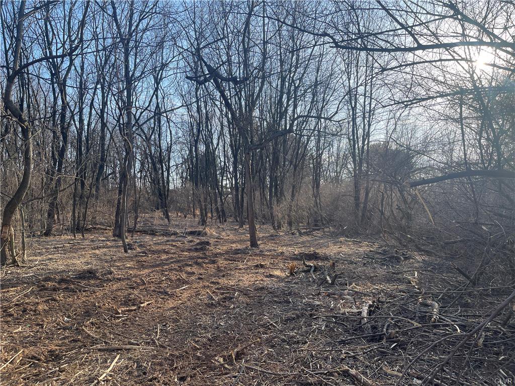 Bethlehem Twp, Pennsylvania 18020, United States, ,Land,Active,86915