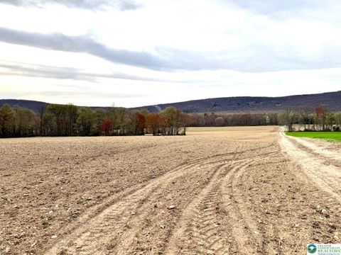 Photo of 9170 N Loop Road, Washington Twp, PA 18080 (MLS # 756116) Photo of 9170 N Loop Road, Washington Twp, PA 18080 (MLS # 756116)