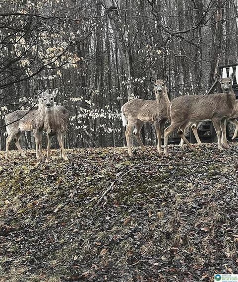 Photo of 535 Maxatawny Drive, Coolbaugh Twp, PA 18347 (MLS # 756748) Photo of 535 Maxatawny Drive, Coolbaugh Twp, PA 18347 (MLS # 756748)