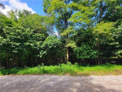 Photo of Whitetail Crossing Road, Walker Twp, PA 18252 (MLS # 743729) Photo of Whitetail Crossing Road, Walker Twp, PA 18252 (MLS # 743729)