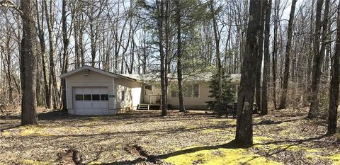 Single Family Residence in Coolbaugh Twp PA 148 Squaw Trail.jpg