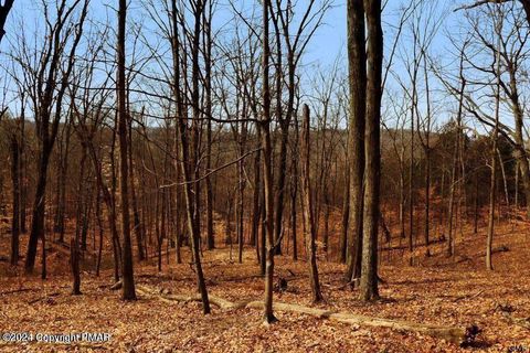 Photo of Spruce Lane, Penn Forest Twp, PA 18210 (MLS # 752359) Photo of Spruce Lane, Penn Forest Twp, PA 18210 (MLS # 752359)