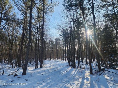 Photo of Masters Trail, Penn Forest Twp, PA 18210 (MLS # 752475) Photo of Masters Trail, Penn Forest Twp, PA 18210 (MLS # 752475)