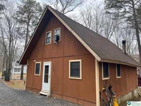 110 Oppossum Run Road, Lehman Twp, PA 18324 - MLS#: 755827