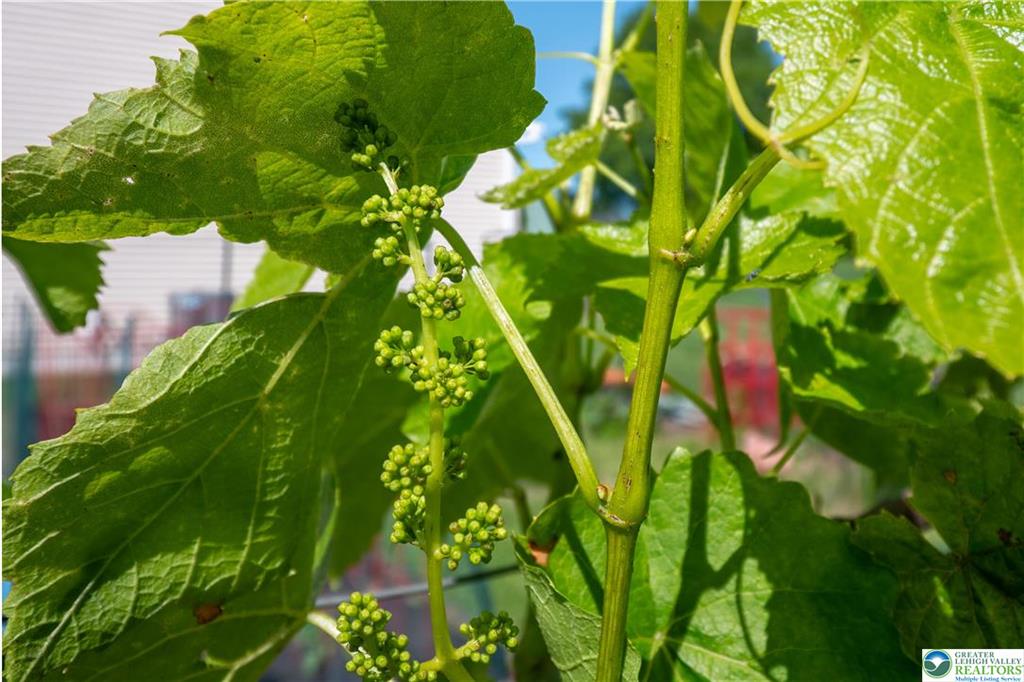 Bushkill Twp, Pennsylvania 18064, United States, 3 Bedrooms Bedrooms, ,3 BathroomsBathrooms,Residential,Active,145907