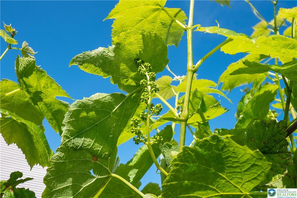 Bushkill Twp, Pennsylvania 18064, United States, 3 Bedrooms Bedrooms, ,3 BathroomsBathrooms,Residential,Active,145907