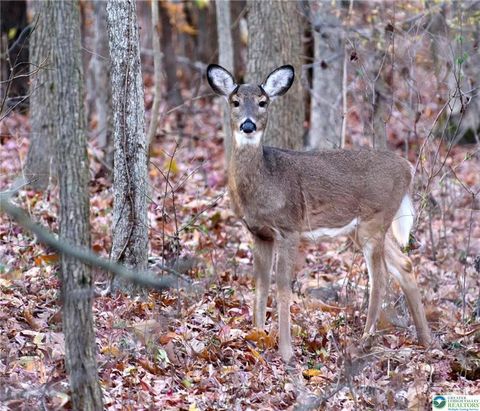 Photo of 119 Tumbleweed Drive, Tunkhannock Twp, PA 18334 (MLS # 755707) Photo of 119 Tumbleweed Drive, Tunkhannock Twp, PA 18334 (MLS # 755707)