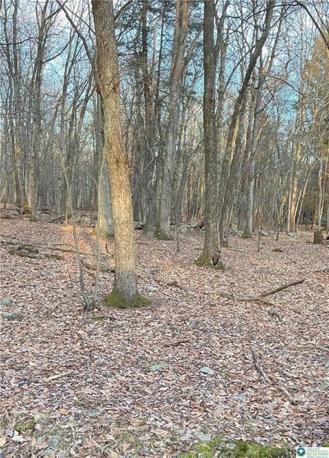 Photo of 80 Spokane Road, Penn Forest Twp, PA 18210 (MLS # 756986) Photo of 80 Spokane Road, Penn Forest Twp, PA 18210 (MLS # 756986)