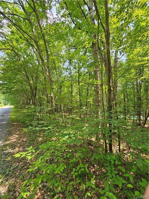 Photo of Dowbush Road, Mahoning Twp, PA 18235 (MLS # 755071) Photo of Dowbush Road, Mahoning Twp, PA 18235 (MLS # 755071)
