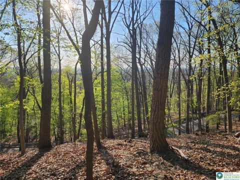 Photo for 80 -82 Chestnut Hill Road