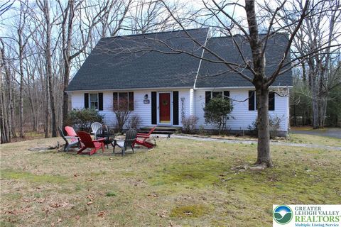 Photo of 140 Piney Woods Drive, Penn Forest Twp, PA 18229 (MLS # 773359)