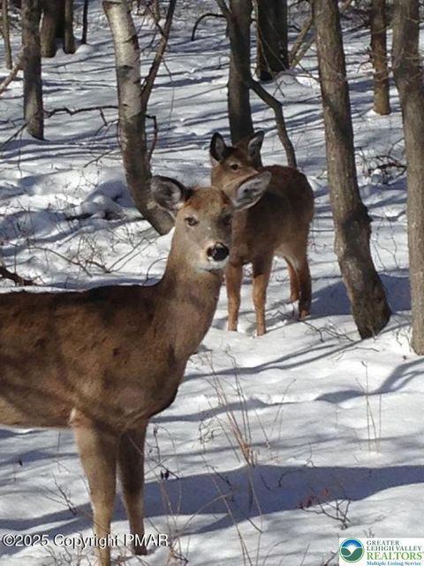 Photo of Spring Court, Pike, PA 18324 (MLS # 770291)