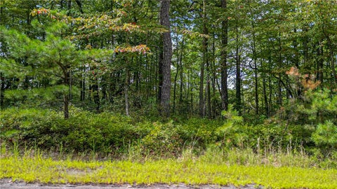 Photo for 51 Mohican Court Lots 81-82