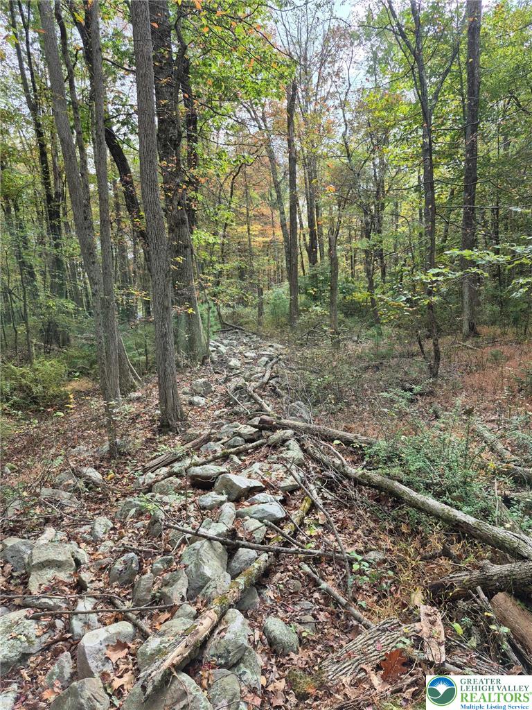 Millheim Road