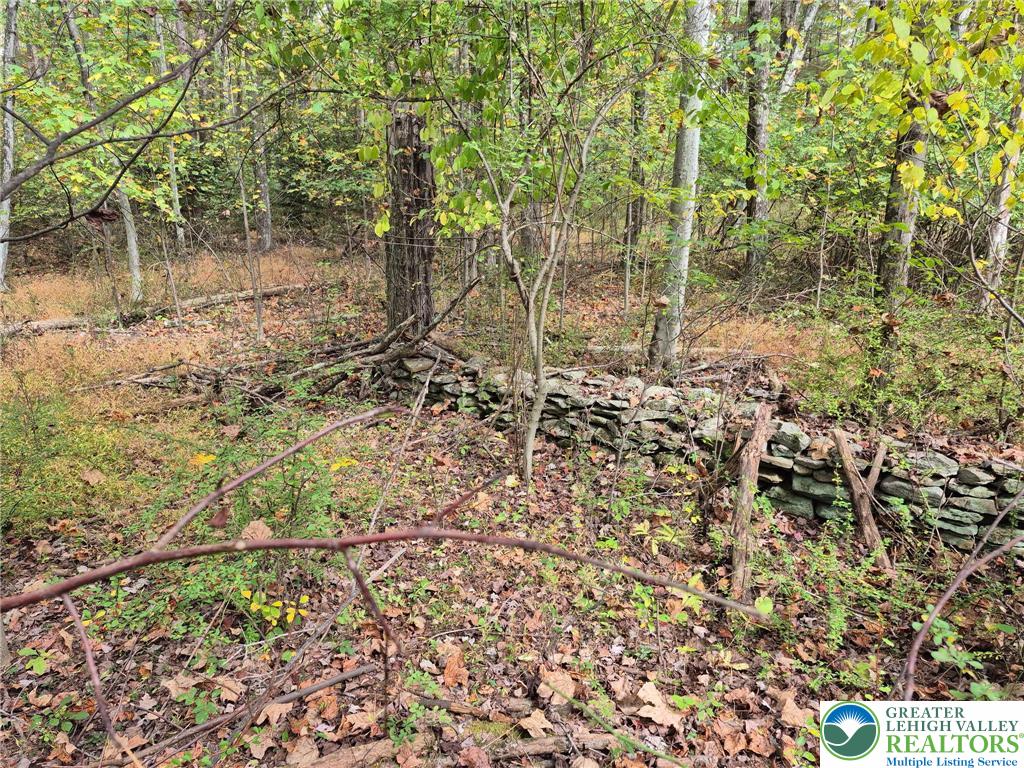 Millheim Road