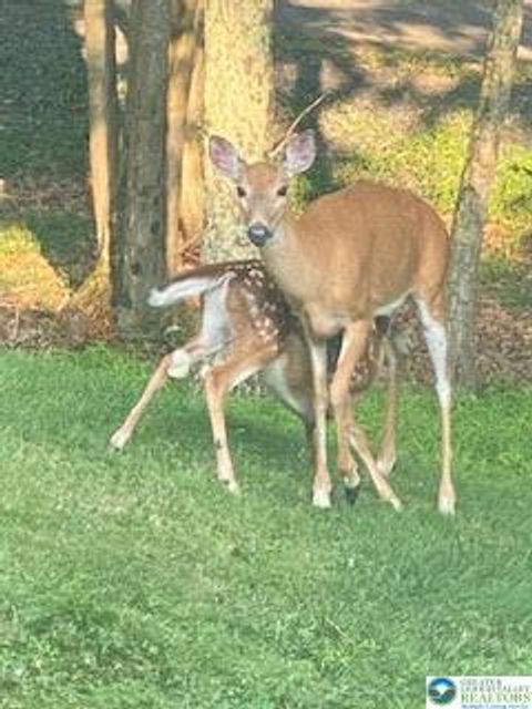 Pocono Mountain Lake Drive, Lehman Twp, PA 18324 - MLS#: 765015