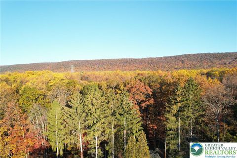 Photo of 419 W Mountain Road, Wind Gap Boro, PA 18091 (MLS # 767124) Photo of 419 W Mountain Road, Wind Gap Boro, PA 18091 (MLS # 767124)