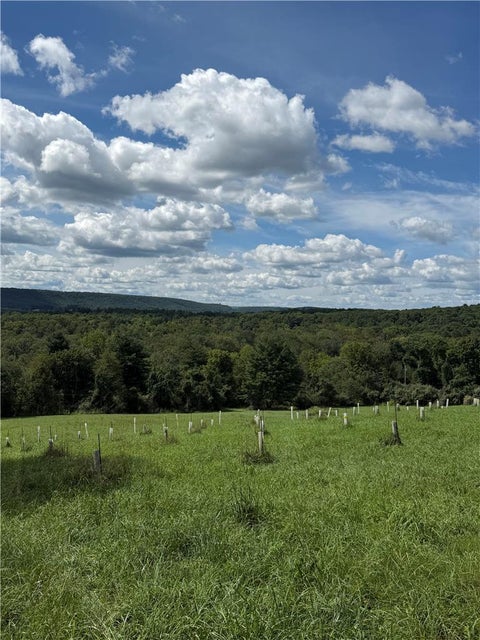 Vacant Land For Sale - Cottontail Lane<br/> Chestnuthill Twp, PA 18353
