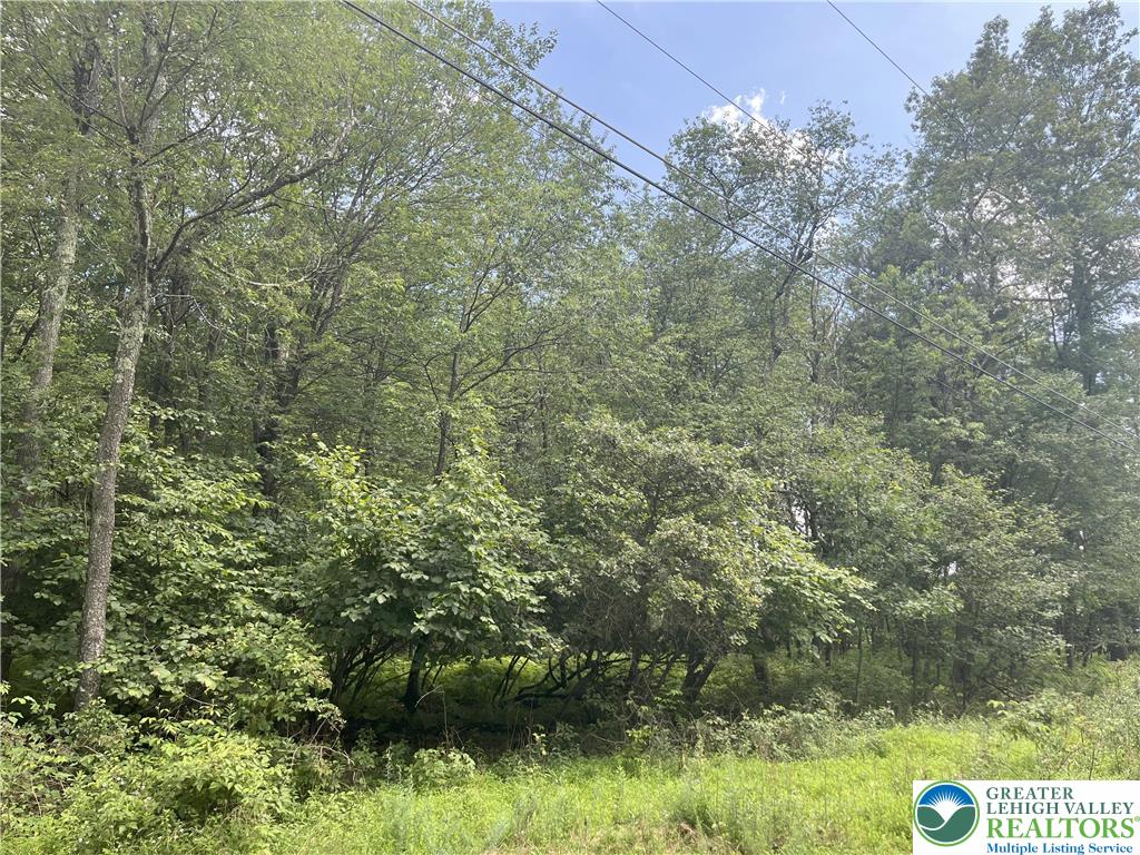 Lot 224 & 225 LAN Bluejay Drive