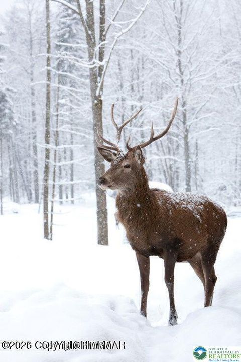 Photo of 0 Mallard Lane, Pike, PA 18324 (MLS # 772717)