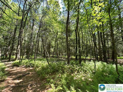 Vacant Land For Sale - 1455 Greenwood Street<br/> Franklin, PA 18071