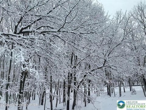 Photo of 407 Pine tree Road, Penn Forest Twp, PA 18210 (MLS # 770073)