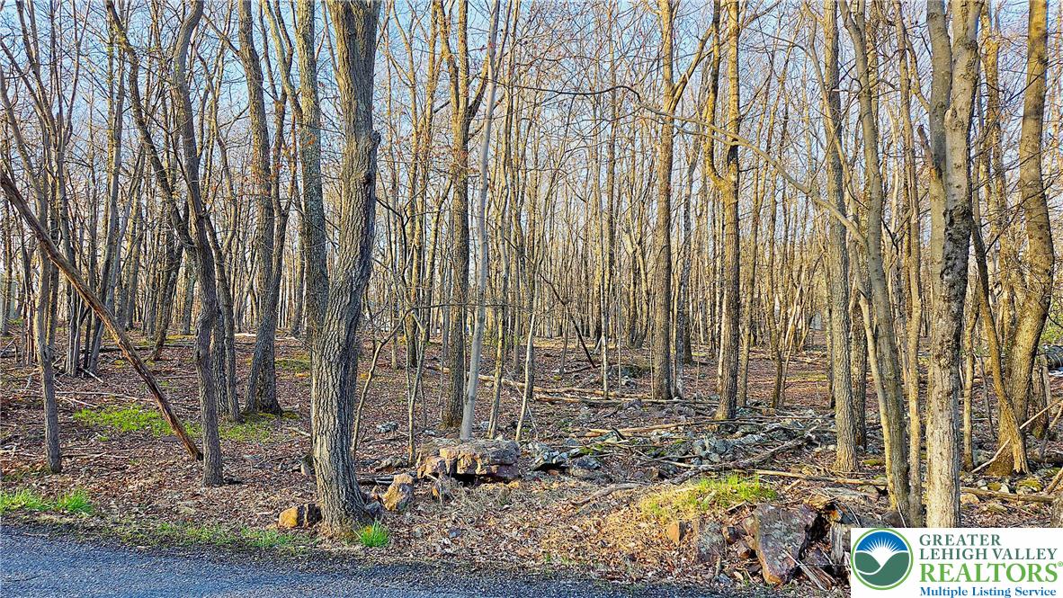 Shawnee Trail & Highpoint Drive