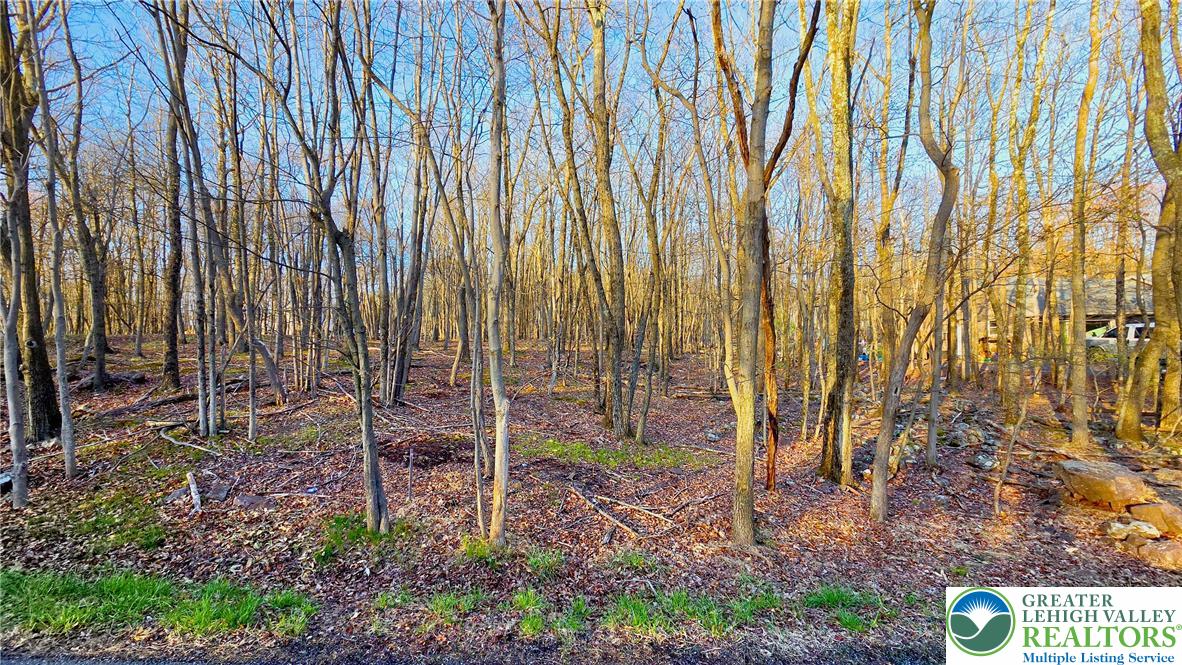 Shawnee Trail & Highpoint Drive