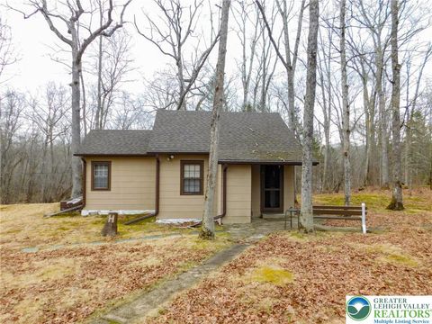 Photo of 156 Pine Flats Colony Road, Porter Twp, PA 18328 (MLS # 773918)