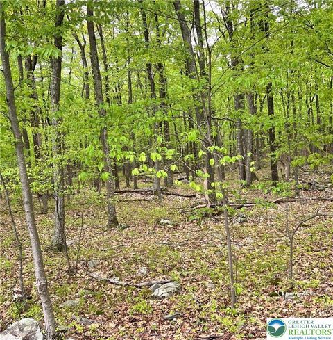 Photo of 209 Cherry Lane, Tunkhannock Twp, PA 18210 (MLS # 765927) Photo of 209 Cherry Lane, Tunkhannock Twp, PA 18210 (MLS # 765927)