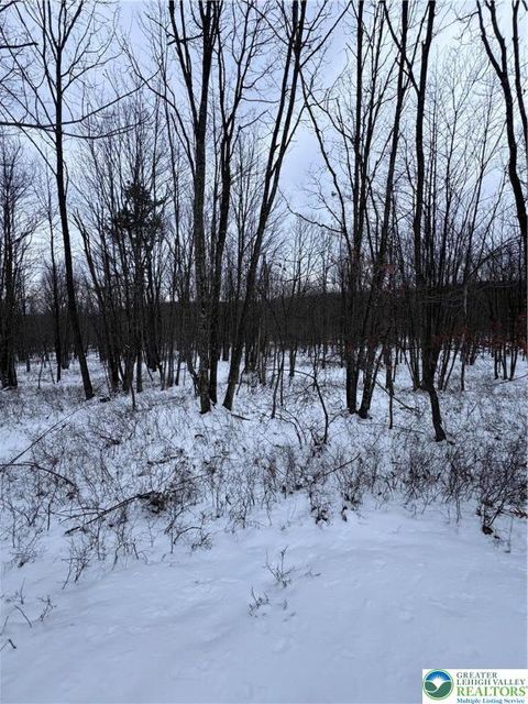 Photo of 230 Elderberry Lane, Hazle Twp, PA 18202 (MLS # 772445)