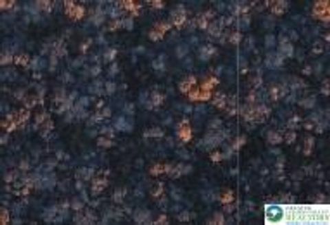 Photo of Point Phillips Road, Eldred Twp, PA 18058 (MLS # 775909)