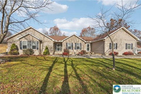 19 Farmer Court Penn Forest Twp PA 18210