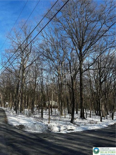 Photo of Forest Street, Penn Forest Twp, PA 18235 (MLS # 771907)