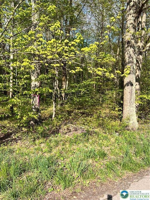 Vacant Land For Sale - 318 Birch Drive<br/> Monroe County, Tunkhannock Twp, PA 18610