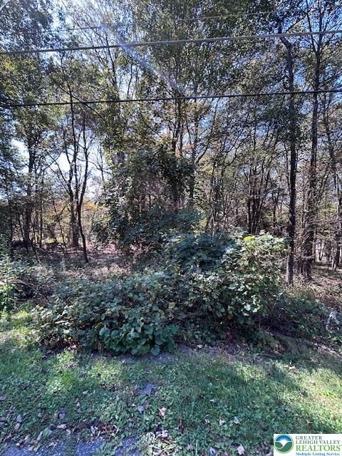 Photo of Lot 731 Yellow Run Road, Penn Forest Twp, PA 18229 (MLS # 764378) Photo of Lot 731 Yellow Run Road, Penn Forest Twp, PA 18229 (MLS # 764378)