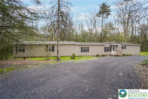 Photo of 728 Dotters Corner Road, Polk Twp, PA 18058 (MLS # 775896)