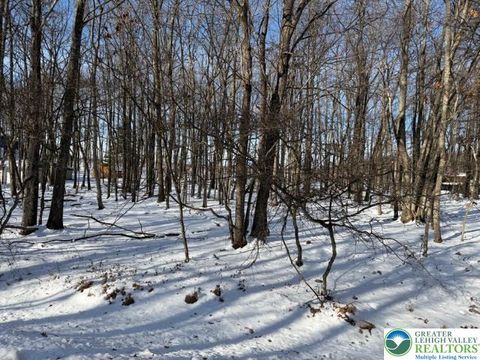 Photo of Basswood Court, Penn Forest Twp, PA 18210 (MLS # 770950)