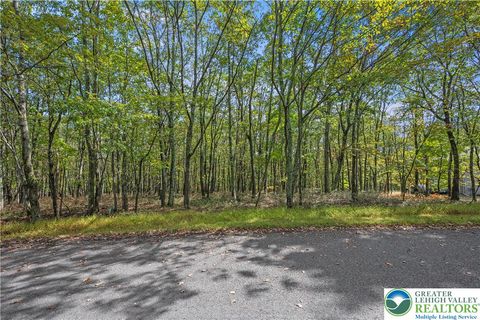 Photo of 0 Stone Ridge Road, Penn Forest Twp, PA 18210 (MLS # 769654)