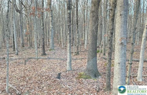 Photo of 6 Occonquan Trail #1723, Penn Forest Twp, PA 18210 (MLS # 760995) Photo of 6 Occonquan Trail #1723, Penn Forest Twp, PA 18210 (MLS # 760995)