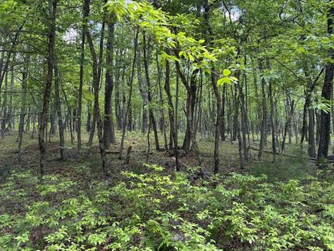 Vacant Land For Sale - Lot 249-maple Lane<br/> Jim Thorpe, PA 18229