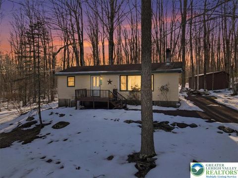 Photo of 173 Bushkill Drive, Tobyhanna Twp, PA 18347 (MLS # 772464)